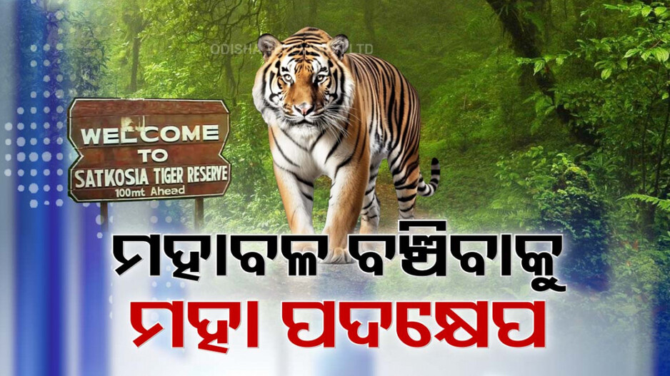 ସାତକୋଶିଆରେ କେମିତି ତିଷ୍ଠିବ ମହାବଳ ?