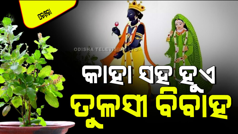 Tulsi Vivah 2024: ଜାଣନ୍ତୁ ଜଳନ୍ଧରଙ୍କ ପତ୍ନୀ ବୃନ୍ଦା କିପରି ହେଲେ ତୁଳସୀ ବୃକ୍ଷ