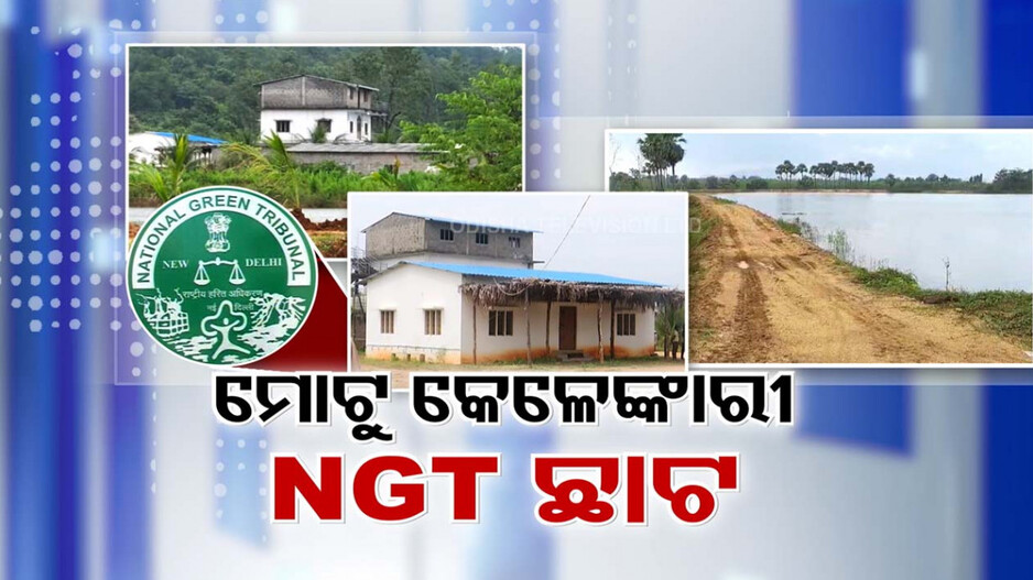 Illegal Encroach: NGT ଆଖିରେ ଜମି କେଳେଙ୍କାରୀ, ଶହେ ଏକର ଜଙ୍ଗଲ ଜମିରେ କୁଆଡୁ ଆସିଲା ଜନବସତି ?