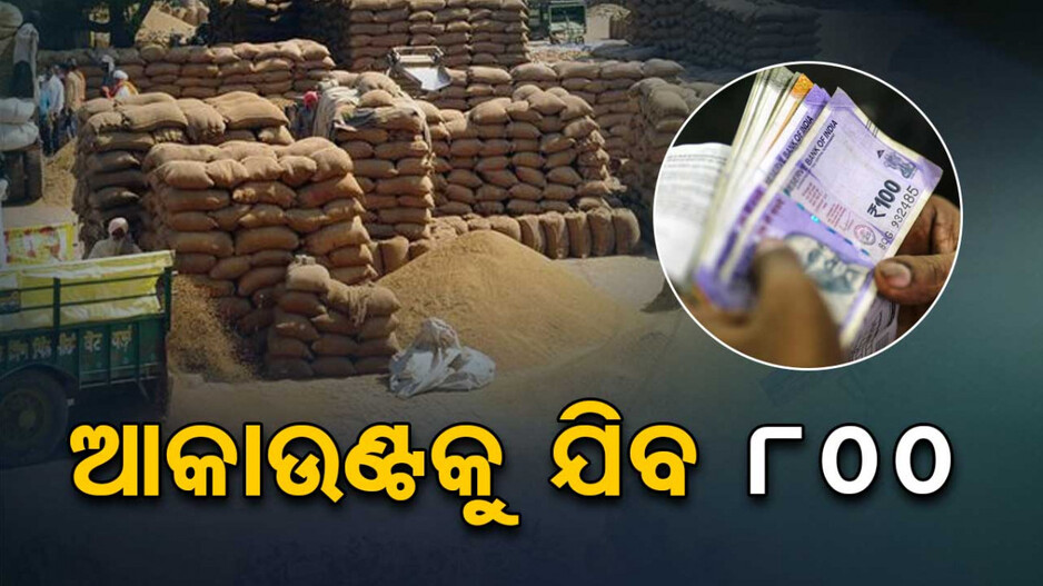 Paddy Procurement: ୨୦ରୁ ଧାନ ସଂଗ୍ରହ, ୧୫ରୁ ଟୋକନ ବଣ୍ଟନ