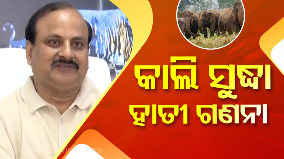 Elephants Winter Census Report: ଜଣାପଡ଼ିବ ରାଜ୍ୟରେ ଅଛନ୍ତି କେତେ ହାତୀ, ଆସିବ ରିପୋର୍ଟ