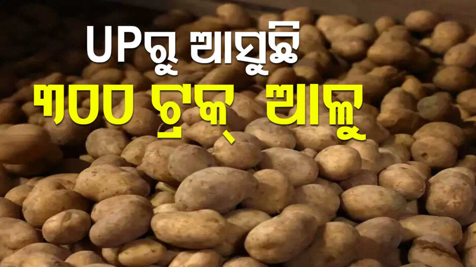 Potato Price Hike: ବ୍ୟସ୍ତ ନାହିଁ, ରହିବନି ଆଳୁ ସଂକଟ ! ଆସୁଛି ଆଳୁ..