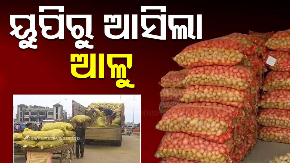 Potato Truck Arrives In Odisha: ଓଡ଼ିଶାରେ ପହଞ୍ଚିଲା ୟୁପି ଆଳୁ, ଏଥର କମିପାରେ ଦର !