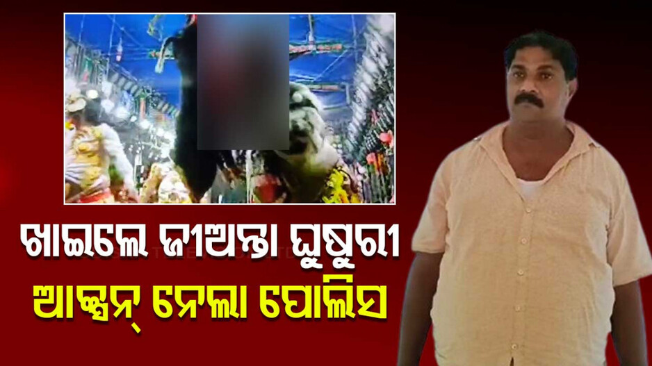 Animal Cruelty In Odisha: ଘୁଷୁରୀକୁ ଜୀଅନ୍ତା ଖାଇବା ଘଟଣାରେ ଆକ୍ସନ୍: ଗିରଫ ହେଲେ କଳାକାର...