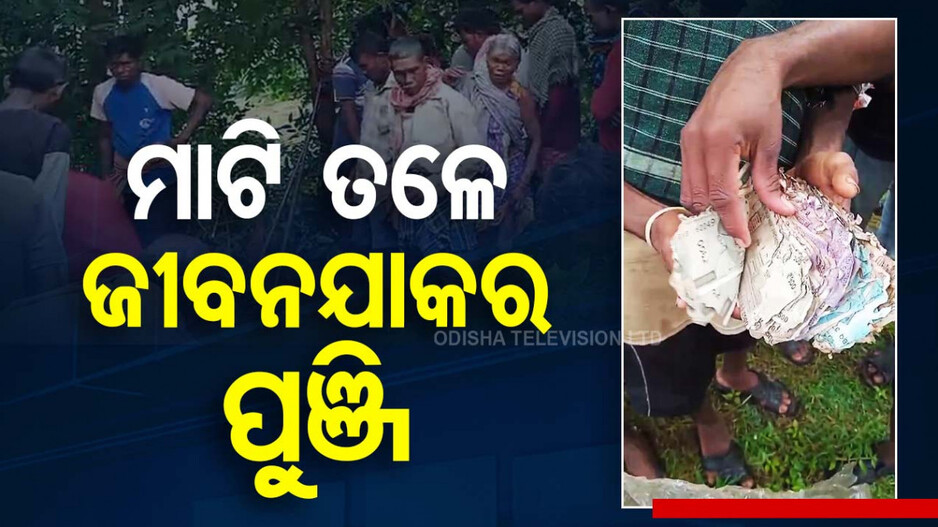 Man Buries Money: ମାଟି ତଳେ ରଖିଥିଲେ ସାରା ଜୀବନ ପୁଞ୍ଜି, ଖୋଳିଲା ପରେ ବାହାରିଲା କିନ୍ତୁ...