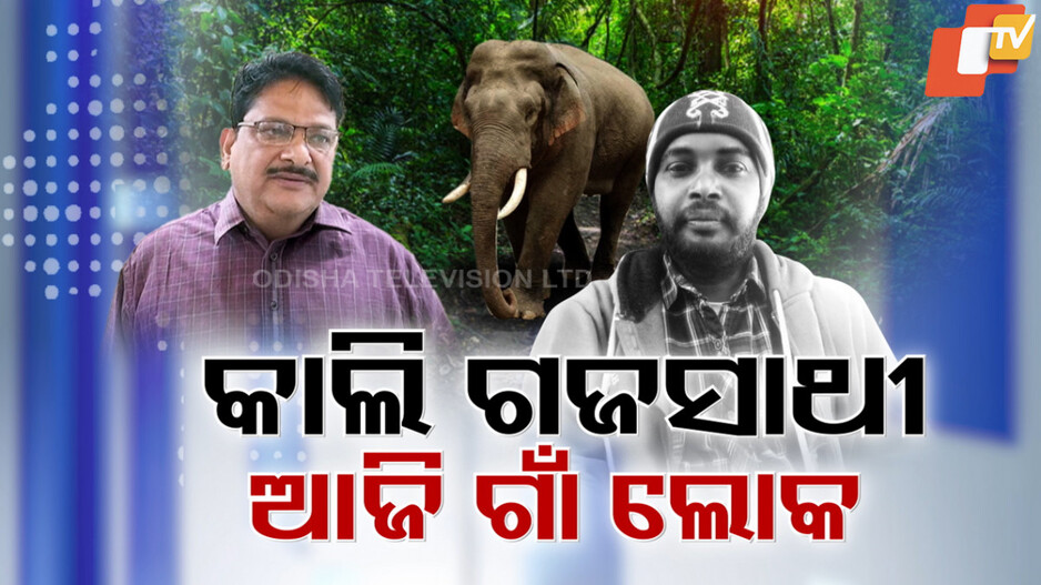 ଭିନ୍ନ ମନ୍ତବ୍ୟକୁ ନେଇ ହରଡ଼ଘଣାରେ ବଲାଙ୍ଗିର ବନବିଭାଗ