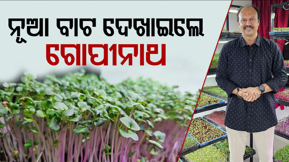 Success Story: ଛାଡ଼ିଦେଲେ ବ୍ୟାଙ୍କ ଚାକିରି, ଛୋଟିଆ କୋଠରୀରୁ ମାସିକ ରୋଜଗାର ୫ ଲକ୍ଷ