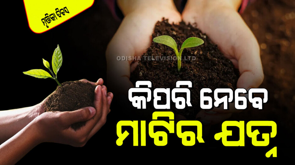 World Soil Day 2024: ଉତ୍ତମ ମାଟି ହିଁ ଦେଇଥାଏ ଉତ୍ତମ ଜୀବନ: ଜାଣନ୍ତୁ ମାଟି ଯତ୍ନ ନେବାର ୬ଟି ଉପାୟ