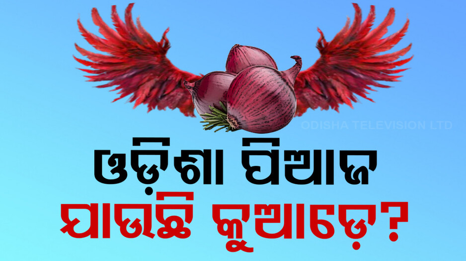 Onion Price: ବିଚିତ୍ର ହିସାବ: ପିଆଜ ଉତ୍ପାଦନରେ ଆମେ ବଳକା ରାଜ୍ୟ, ତଥାପି ଦର ଆକାଶ ଛୁଆଁ...