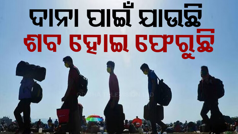 Dadan Labourers in Odisha: ଦାନା ପାଇଁ ଦାଦନ...ଶବ ହେଉଛି ଶ୍ରମିକ...ନିଦାବିଷ୍ଣୁ ସାଜିଛି ଶ୍ରମ ବିଭାଗ...