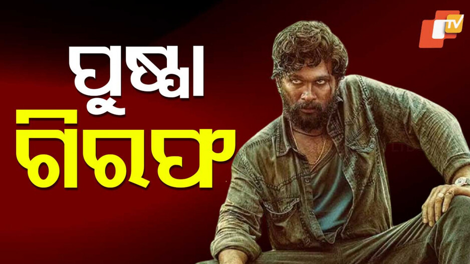 Allu Arjun arrested: ପୋଲିସ ସାମ୍ନାରେ ନଇଁଲେ ପୁଷ୍ପା ! ଦଳାଚକଟା ଘଟଣାରେ ହେଲେ ଆରେଷ୍ଟ
