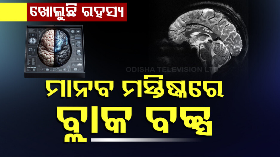 Black Box Of Human Brain: ମାନବ ମସ୍ତିଷ୍କରେ ଥିବା ବ୍ଲାକ ବକ୍ସର କାମ କ’ଣ ? ରହସ୍ୟ ଭେଦ କଲେ ବୈଜ୍ଞାନିକ