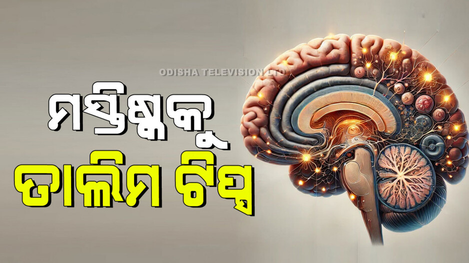 How To Train Brain:ମସ୍ତିଷ୍କକୁ ତାଲିମ୍ ଦେବାର ୧୦ଟି ସହଜ ଉପାୟ