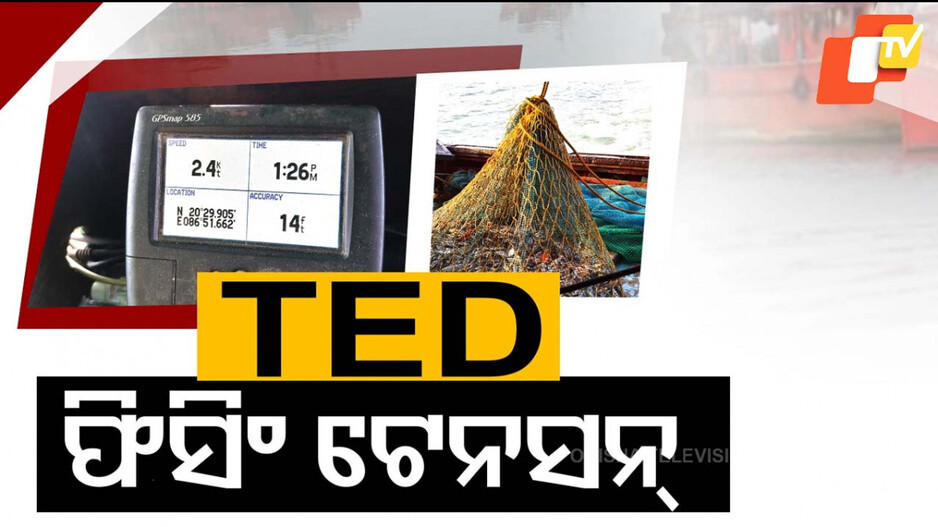 Boost Fishing Exports: ମତ୍ସ୍ୟଜୀବୀଙ୍କ ଜାଲରେ ଲାଗିବ କଇଁଛ ନିର୍ଗମନ ଯନ୍ତ୍ର; ଭାରତରୁ ସାମୁଦ୍ରିକ ଚିଙ୍ଗୁଡ଼ି ରପ୍ତାନୀ କରିବ ଆମେରିକା!