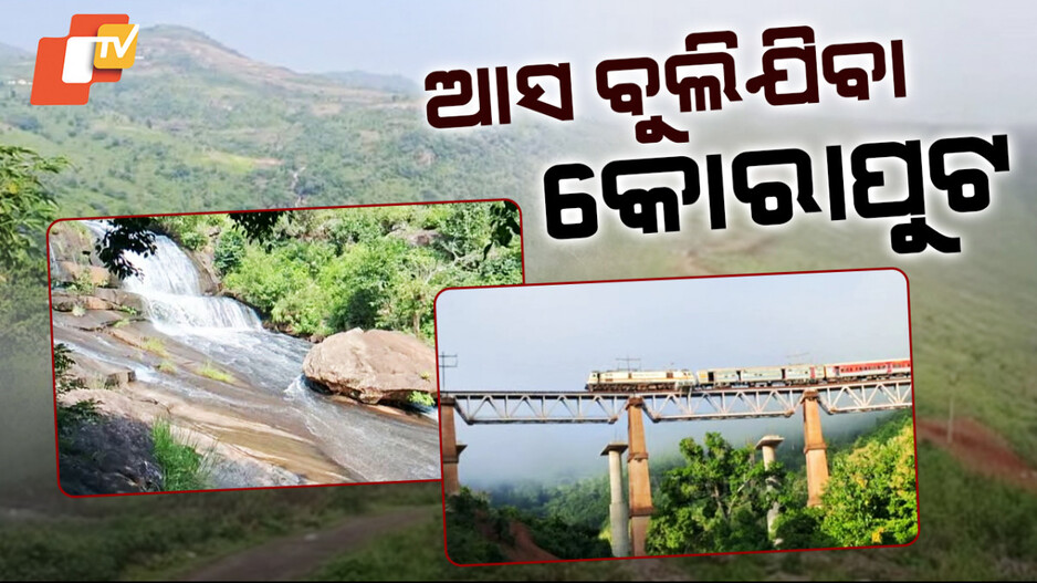 Captivating Beauty of Koraput:  ଶୀତୁଆ ସକାଳରେ ହସୁଛି ପାହାଡ଼; ମନରୋମ ଦୃଶ୍ୟକୁ ଉପଭୋଗ କରୁଛନ୍ତି ପ୍ରକୃତି ପ୍ରେମୀ