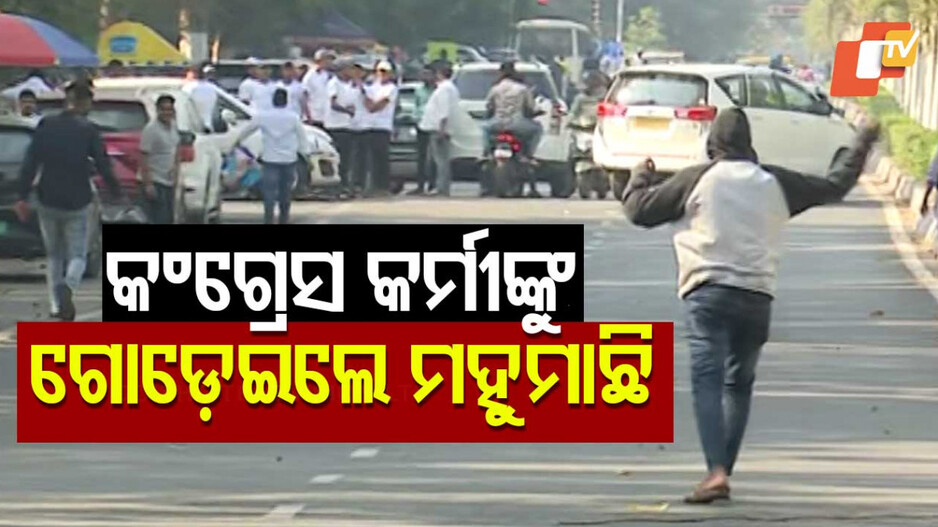 Congress Workers Attacked By Bees: ବିକ୍ଷୋଭ ବେଳେ ଆତଙ୍କ, କଂଗ୍ରେସ କର୍ମୀଙ୍କୁ ଗୋଡ଼ାଇ ମାରିଲା ମହୁମାଛି