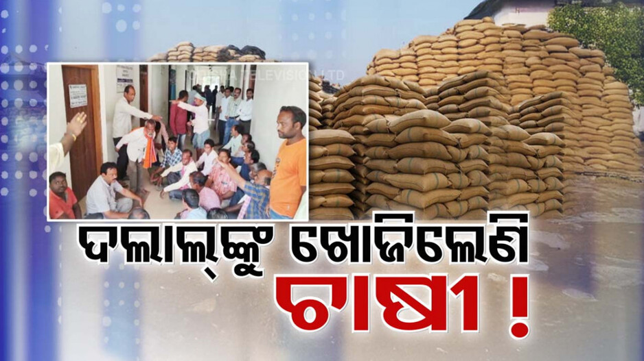 Unseen Mandi Problem: ଧାନ କିଣାରେ ବାଧା ସାଜିଛି FAQ ମାନ ! ମଣ୍ଡିରେ ବିକି ପାରୁନଥିବାରୁ ଦଲାଲ ଖୋଜିଲେଣି ଚାଷୀ !