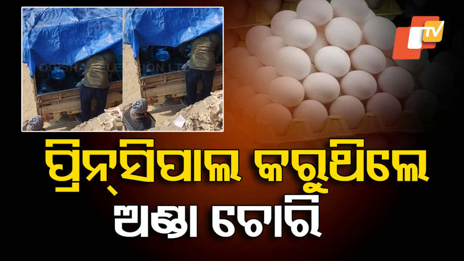 Viral Video: ସ୍କୁଲରୁ Mid Day Meal ଅଣ୍ଡା ଚୋରି କରୁଥିଲେ ପ୍ରିନ୍ସପାଲ୍, ଭିଡିଓ ଭାଇରାଲ ପରେ ଆକ୍ସନ ମୁଡ୍‌ରେ ଶିକ୍ଷା ବିଭାଗ