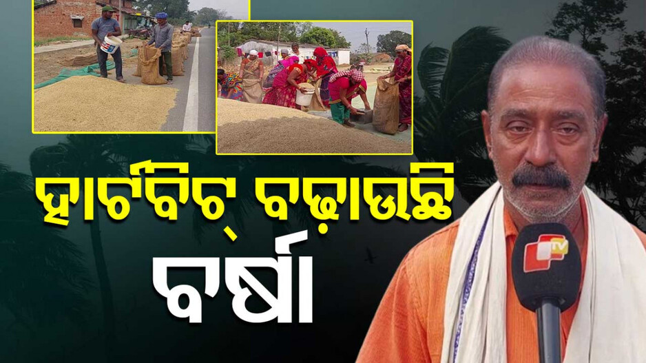 Low Pressure Rain In Odisha: ଦାଉ ସାଧୁଛି ବର୍ଷା...ଟୋକନ୍ ମିଳୁନି, ରାସ୍ତାରେ ପଡ଼ିଛି ବସ୍ତା ବସ୍ତା ଧାନ