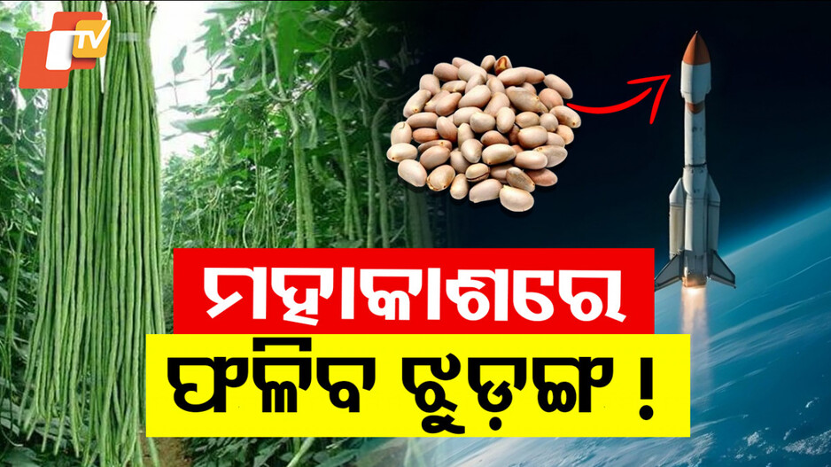 ISRO SpaceX Mission: ସ୍ପେଡେକ୍ସ ମିଶନକୁ ନେଇ ଆସିଲା ବଡ଼ ସୂଚନା; ମହାକାଶରେ ଝୁଡ଼ଙ୍ଗ ମଞ୍ଜି ଗଜା କରିବ ଇସ୍ରୋ