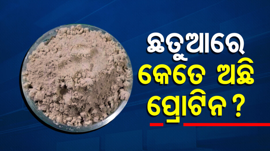 Sattu Protein Content: ଛତୁଆ ହେଉ କି ଛତୁ, କେଉଁଥିରୁ ମିଳେନି ଯଥେଷ୍ଟ ପ୍ରୋଟିନ: ପୋଷକଯୁକ୍ତ ଖାଦ୍ୟ ଉପରୁ ପରଦା ହଟାଇଲେ ବିଶେଷଜ୍ଞ