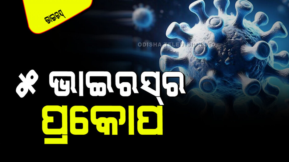 Year Ender 2024: ଚଳିତ ବର୍ଷ ଭାରତରେ ଆତଙ୍କ ଆଣିଛି ଏହି ୫ ସାଂଘାତିକ ରୋଗ