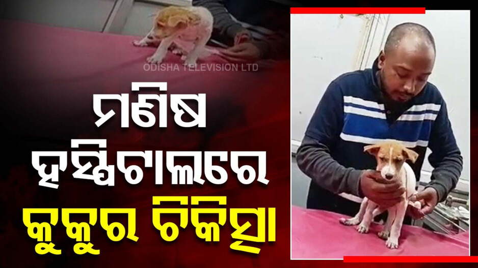 Balangir Bhimabhoi Medical College: ରୋଗୀଙ୍କ ପାଇଁ ଥିବା ଡ୍ରେସିଂ ଟେବୁଲରେ ଚାଲିଲା କୁକୁର ଚିକିତ୍ସା, କହିବାକୁ କେହି ନାହିଁ