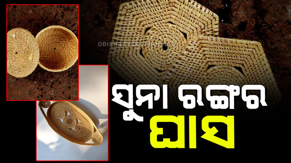 Golden Grass: ସୁନା ପରି ଦିଶେ ଏଇ ଘାସରୁ ତିଆରି ଜିନିଷ