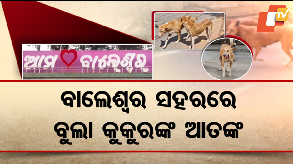 Dog Menace in Balasore: ବାଲେଶ୍ବର ସହରରେ ବୁଲା କୁକୁର ଆତଙ୍କ, କୁକୁର ପାଇଁ ନିଇତି ଘଟୁଛି ଦୁର୍ଘଟଣା