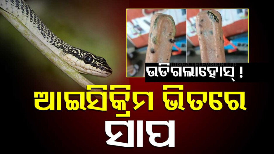 Snake in Ice cream: ଆଇସିକ୍ରିମ୍ ଭିତରୁ ବାହାରିଲା ବିଷଧର ସାପ, ଫଟୋ ଭାଇରାଲ