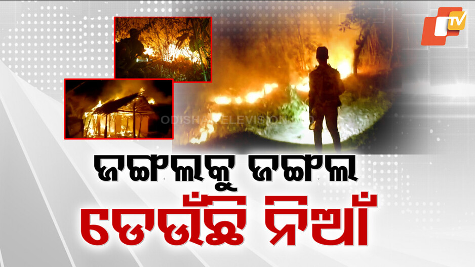 Odisha Forest Fire: ଖରାଦିନ ଆରମ୍ଭରୁ ଚିନ୍ତା ବଢାଇଲାଣି ଜଙ୍ଗଲ ନିଆଁ