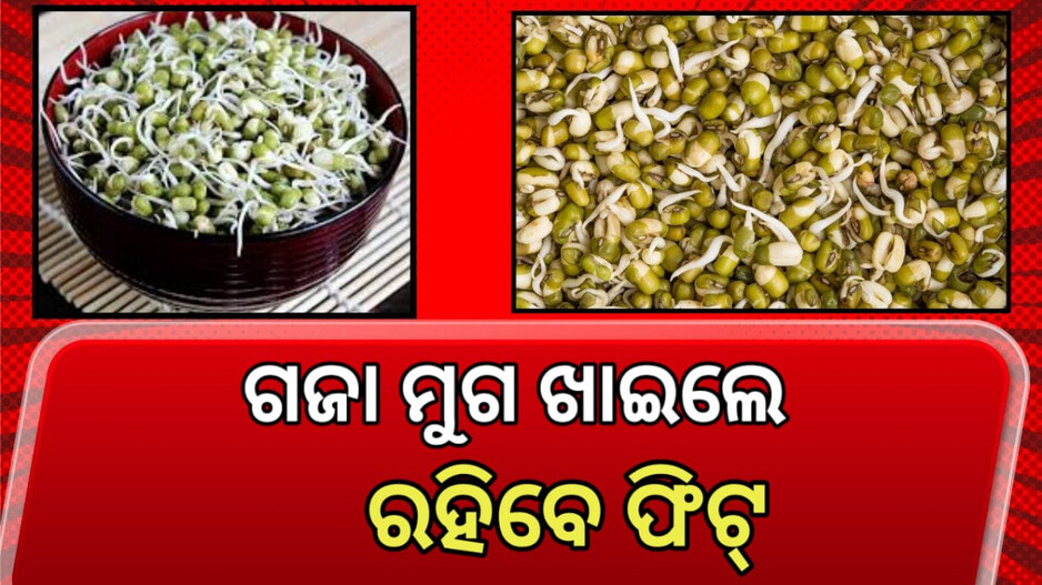 Mung Bean Sprouts Health Benefits: ପ୍ରତିଦିନ ଗଜାମୁଗ ଖାଇଲେ ମିଳିବ ଅନେକ ଫାଇଦା...
