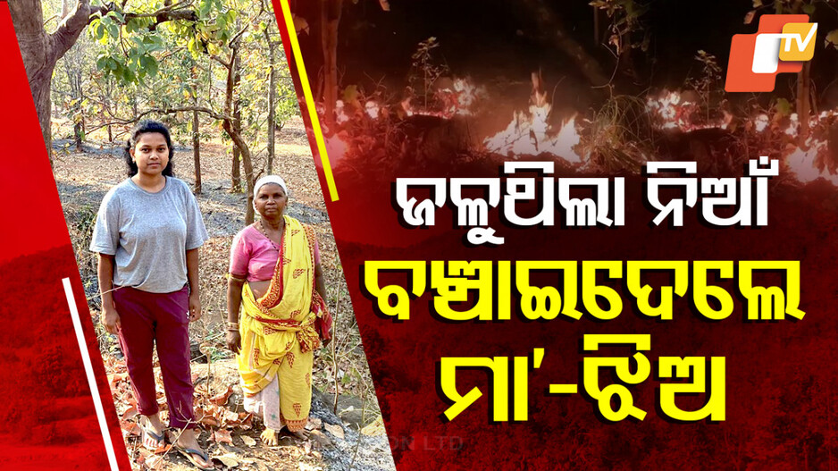 Special Story: ହୁତୁ ହୁତୁ ହୋଇ ଜଳୁଥିଲା ଜଙ୍ଗଲ, ବଞ୍ଚାଇ ଦେଲେ ମାଆ ଓ ଝିଅ