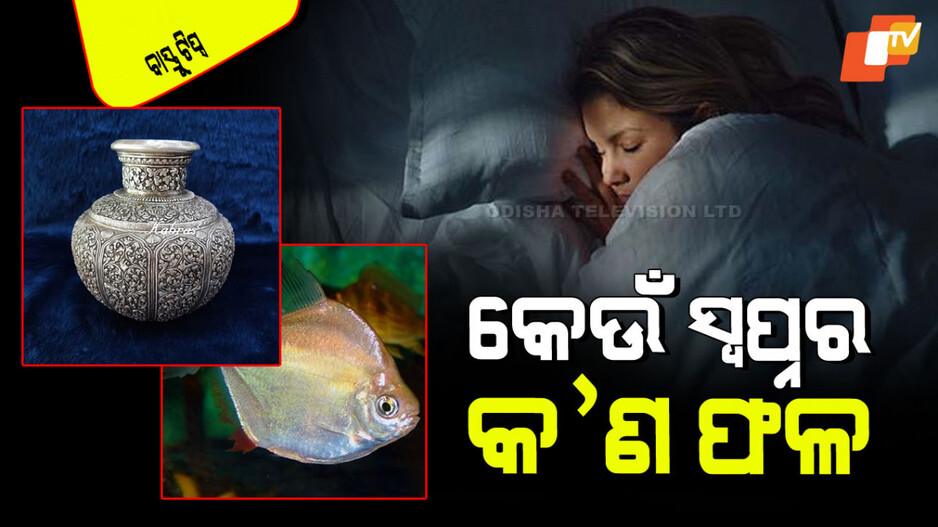 Vastu Tips: ଯଦି ଏଭଳି ସ୍ୱପ୍ନ ଦେଖୁଛନ୍ତି ତେବେ କାହାକୁ କୁହନ୍ତୁ ନାହିଁ; ମିଳିବ ଓଲଟା ଫଳ
