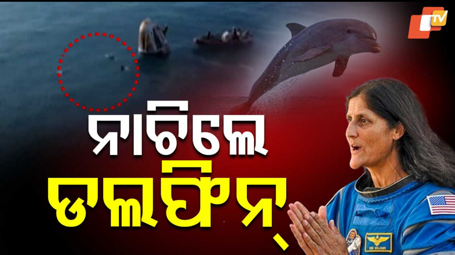 Sunita Williams: ଫେରିଲେ ସୁନୀତା; ଖୁସିରେ ନାଚିଲେ ଡଲଫିନ୍