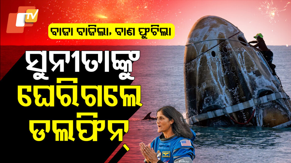 ସୁନୀତାଙ୍କୁ ଘେରିଗଲେ ଡଲଫିନ୍