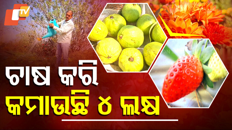 Special Story: ଫୁଲ ଚାଷ କରିଛି ଲକ୍ଷ ପତି, କମାଉଛନ୍ତି ୪ ଲକ୍ଷ ଟଙ୍କା