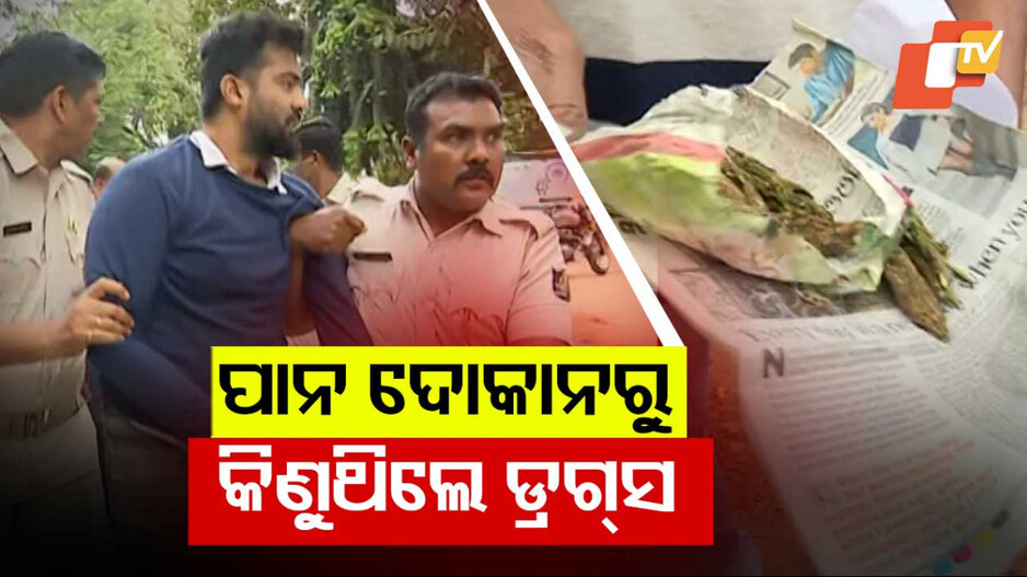 Illegal Drug Trade: ପାନ ଦୋକାନରେ ଗଞ୍ଜେଇ କାରବାର, ନିଶା ବେପାରୀଙ୍କୁ ଗୋଡ଼ାଇ ଗୋଡ଼ାଇ ଧରିଲା କ୍ରାଇମ୍ ୟୁନିଟ୍