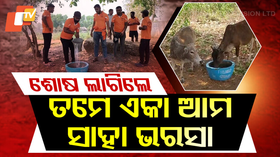 ତାତିରେ ଜଳୁଛି ସହର, ପଶୁଙ୍କ ପାଇଁ ଜଳଛତ୍ର ଖୋଲିଲେ ଯୁବକ