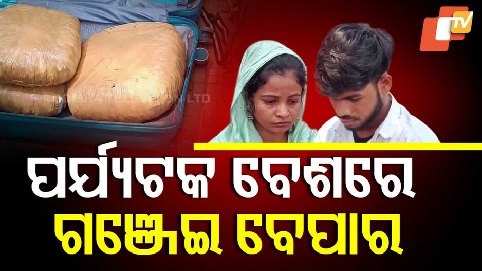 Ganja Smuggling: ଗଞ୍ଜେଇ ଚୋରା ଚାଲାଣର ନୂଆ ଫଣ୍ଡା, ପର୍ଯ୍ୟଟକ ହୋଇ ଯାଉଛନ୍ତି...ନୀଳ ଜହର ନେଇ ଫେରୁଛନ୍ତି