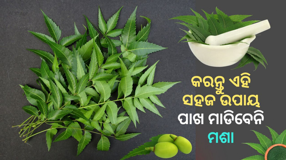 Neem smoke: କରନ୍ତୁ ଏହି ସହଜ ଉପାୟ; ପାଖ ମାଡିବେନି ମଶା