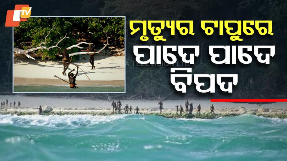 Sentinel Island Mystery: ବାହ୍ୟ ଜଗତରୁ ବିଚ୍ଛିନ୍ନ ରହସ୍ୟମୟ ଜନଜାତିଙ୍କ କାହାଣୀ, ସାମାନ୍ୟ ଛିଙ୍କ ହୋଇପାରେ ଘାତକ