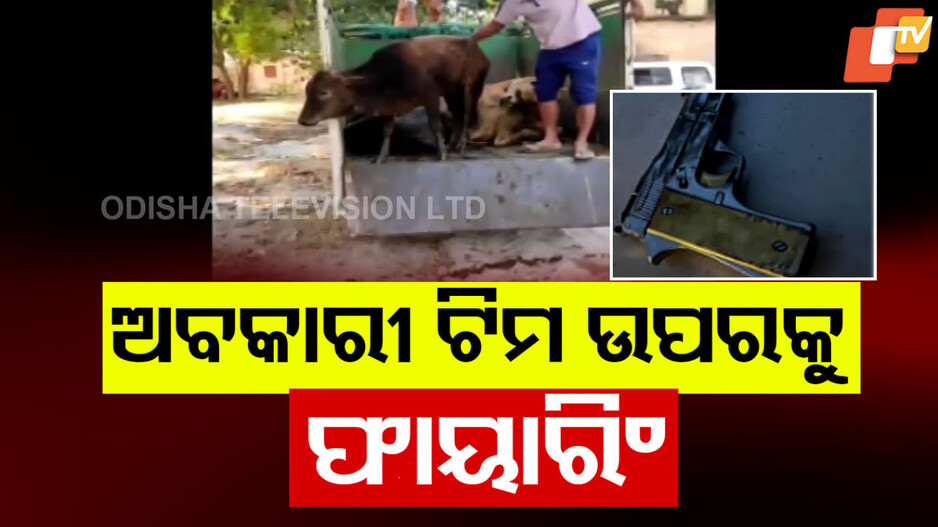 Gunfire on Excise Vehicle in Sundargarh: ଅବକାରୀ ବିଭାଗ ଗାଡ଼ି ଉପରକୁ ଗୁଳିମାଡ଼, ଅଳ୍ପକେ ବର୍ତ୍ତିଲେ କର୍ମଚାରୀ