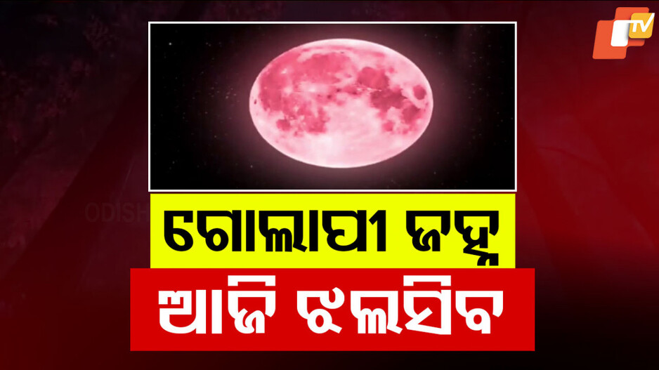Pink Micromoon in India: ଆଜି ଆକାଶରେ ଦେଖାଯିବ ଗୋଲାପୀ ଜହ୍ନ; ଜାଣନ୍ତୁ କେମିତି ଦେଖିବେ...
