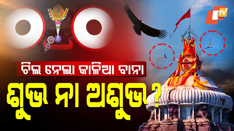 Viral Video At Shri Jagannath Temple: ଚିଲ ନେଇଗଲା କାଳିଆ ବାନା; ଭାଇରାଲ ହେଲା ଭିଡ଼ିଓ