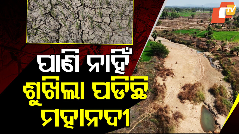 Dry Mahanadi River: ମହାନଦୀରେ ପାଣି ନାହିଁ, ଦେଖାଯାଉଛି ବାଲି ଆଉ ପଥର…