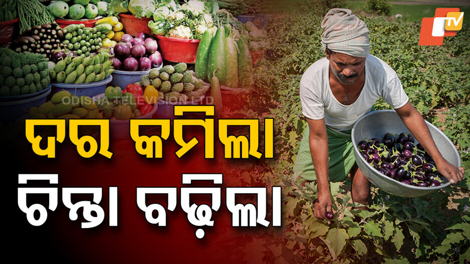 Market Price Crisis in Odisha: ବଜାର ବୈଷମ୍ୟ, କାହାର ପୁଷମାସ ତ କାହାର ସର୍ବନାଶ