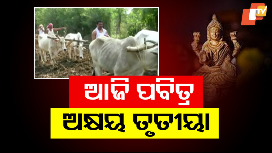 Akshaya Tritiya Celebrations in Odisha: ଆଜି ପବିତ୍ର ଅକ୍ଷୟ ତୃତୀୟା; ଅକ୍ଷିମୁଠି ଅନୁକୂଳ କରିବ ଚଷା ପୁଅ