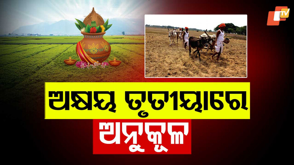 Akshay Tritiya Celebrations in Odisha: ହଳ କଲେ, ଅକ୍ଷି ମୁଠି ବୁଣିଲେ; ୫୦ ଲକ୍ଷ ଅନ୍ନଦାତାଙ୍କ ଖାତକୁ ଗଲା CM କିଷାନ ଟଙ୍କା...