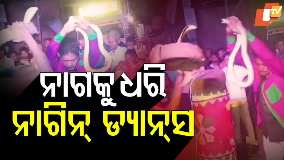 Illegal Snake Dance in Wedding: ନିୟମକୁ ଖୋଲାଖୋଲି ଉଲ୍ଲଘଂନ, ରାସ୍ତା ଉପରେ ନାଗ ସାପକୁ ଧରି କଲେ ନାଗିନ୍ ଡ୍ୟାନ୍ସ